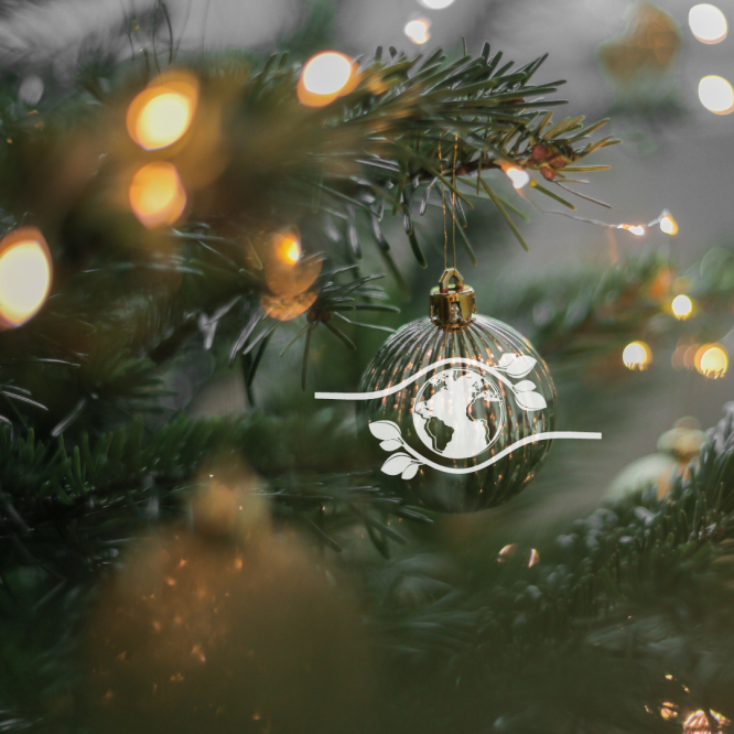 Sapin de noel avec boule de noel argenté. Dessus, on voit un logo blanc symbolisant la terre pour montrer le cote ecoresponsable