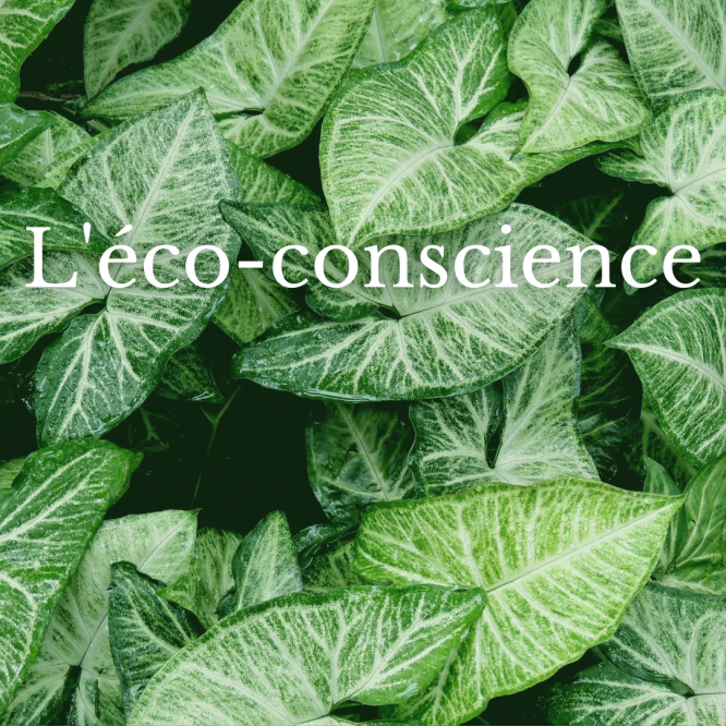 L'éco-conscience photo de plantes avec titre de l'article